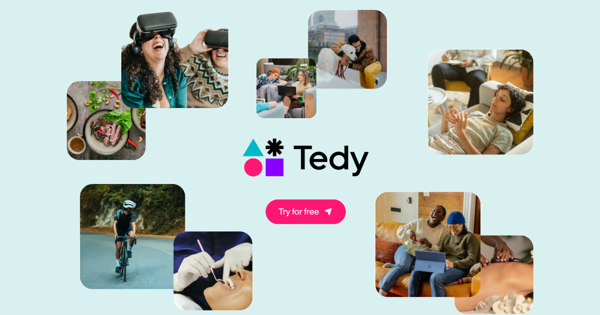 Tedy - Website Design Preview
